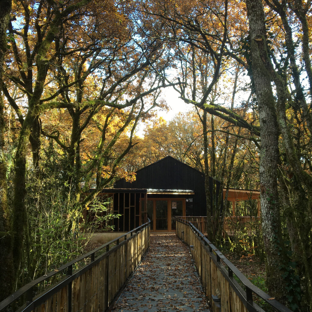 centre d'interprétation de la grotte du Bosc - 2021 © boro boro
